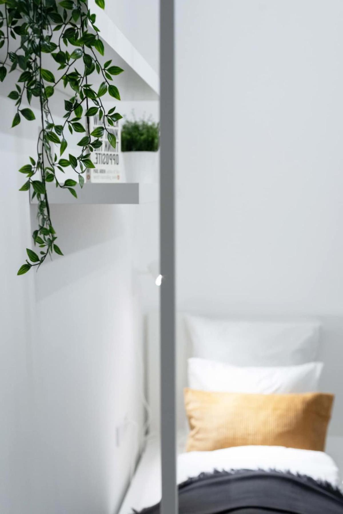 Ideal New Apartment In The Center 布达佩斯 外观 照片
